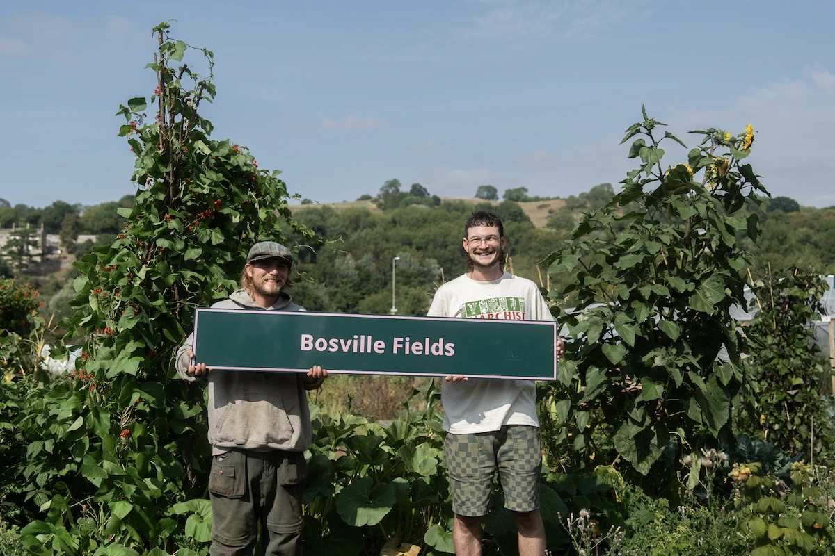 Bosville Fields, Barnsley
