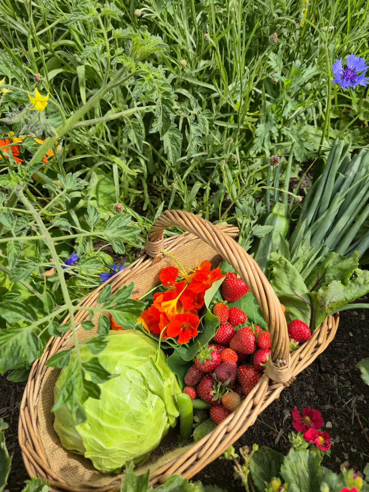 blithe-meadows gallery image 2