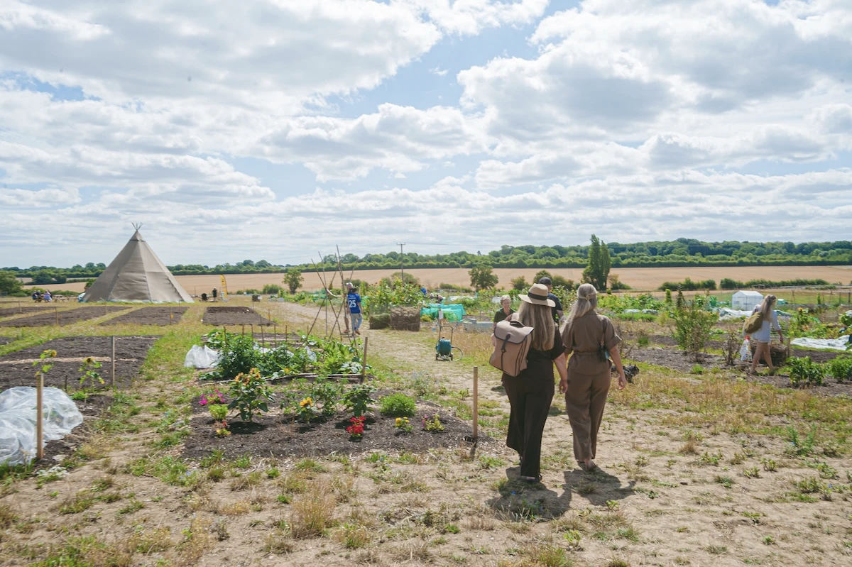 blithe-meadows gallery image 3