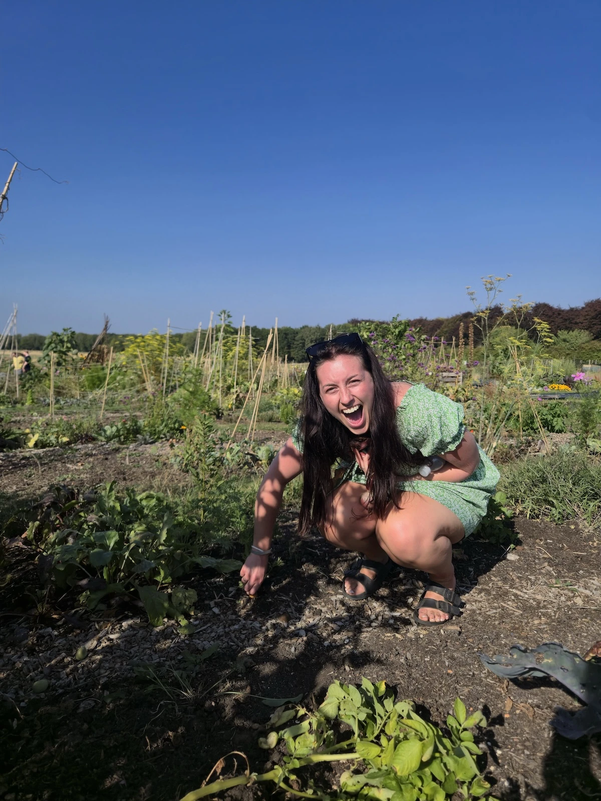 muxton-meadows gallery image 2